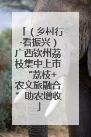 （乡村行·看振兴）广西钦州荔枝集中上市 “荔枝+农文旅融合”助农增收