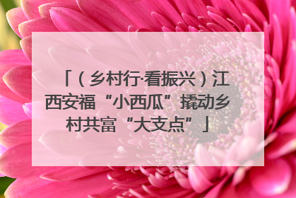 （乡村行·看振兴）江西安福“小西瓜”撬动乡村共富“大支点”