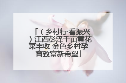 （乡村行·看振兴）江西彭泽千亩黄花菜丰收 金色乡村孕育致富新希望