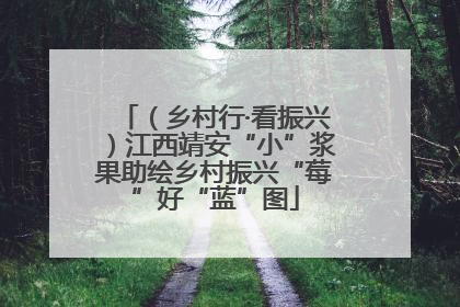 （乡村行·看振兴）江西靖安“小”浆果助绘乡村振兴“莓”好“蓝”图