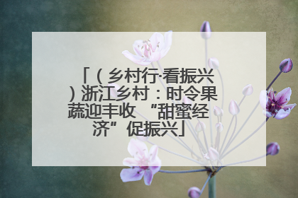 （乡村行·看振兴）浙江乡村：时令果蔬迎丰收 “甜蜜经济”促振兴
