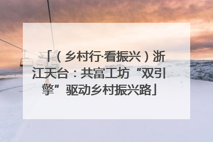 （乡村行·看振兴）浙江天台：共富工坊“双引擎”驱动乡村振兴路