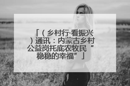 （乡村行·看振兴）通讯：内蒙古乡村公益岗托底农牧民“稳稳的幸福”