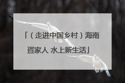 （走进中国乡村）海南疍家人 水上新生活