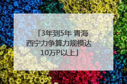 3年到5年 青海西宁力争算力规模达10万P以上