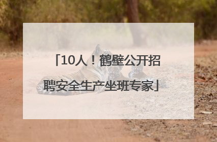 10人！鹤壁公开招聘安全生产坐班专家
