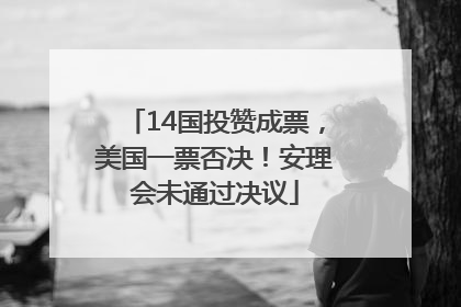 14国投赞成票，美国一票否决！安理会未通过决议