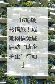 16项硬核措施！成都网信领域启动“助企护企”行动