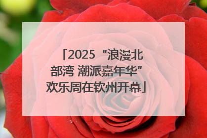 2025“浪漫北部湾 潮派嘉年华”欢乐周在钦州开幕
