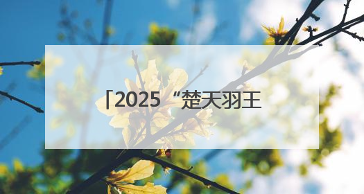 2025“楚天羽王”湖北城市俱乐部赛首站挥拍，近200名球手在黄石同场竞技