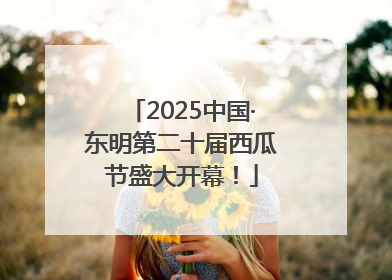 2025中国·东明第二十届西瓜节盛大开幕！