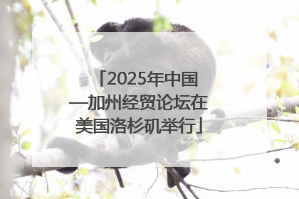 2025年中国—加州经贸论坛在美国洛杉矶举行