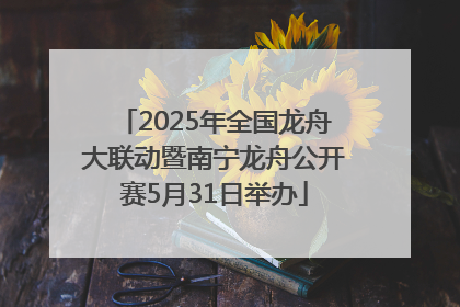 2025年全国龙舟大联动暨南宁龙舟公开赛5月31日举办