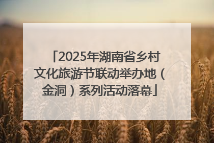 2025年湖南省乡村文化旅游节联动举办地（金洞）系列活动落幕