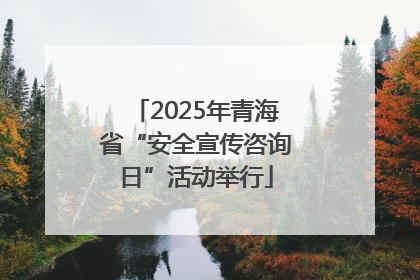 2025年青海省“安全宣传咨询日”活动举行