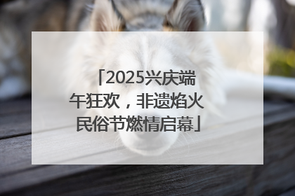 2025兴庆端午狂欢，非遗焰火民俗节燃情启幕