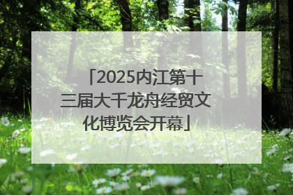 2025内江第十三届大千龙舟经贸文化博览会开幕