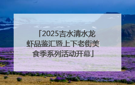 2025吉水清水龙虾品鉴汇暨上下老街美食季系列活动开幕