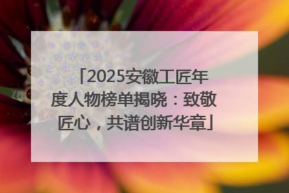 2025安徽工匠年度人物榜单揭晓：致敬匠心，共谱创新华章