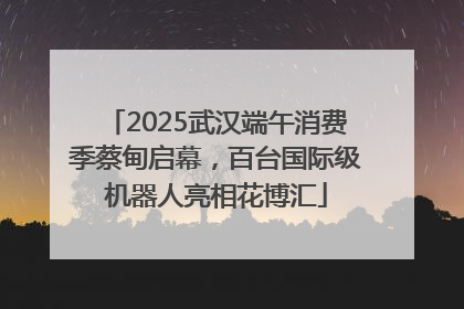 2025武汉端午消费季蔡甸启幕，百台国际级机器人亮相花博汇