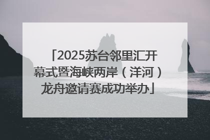 2025苏台邻里汇开幕式暨海峡两岸（洋河）龙舟邀请赛成功举办