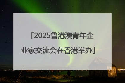 2025鲁港澳青年企业家交流会在香港举办