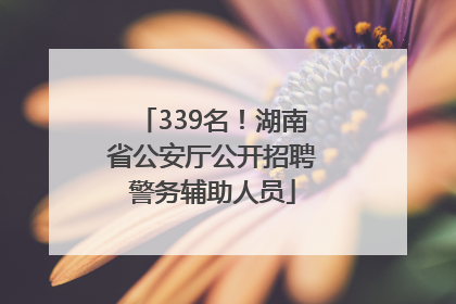 339名！湖南省公安厅公开招聘警务辅助人员