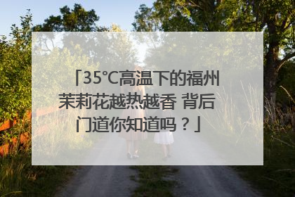 35℃高温下的福州茉莉花越热越香 背后门道你知道吗？