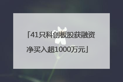 41只科创板股获融资净买入超1000万元