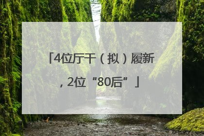 4位厅干（拟）履新，2位“80后”
