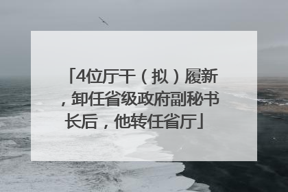 4位厅干（拟）履新，卸任省级政府副秘书长后，他转任省厅