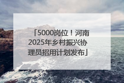 5000岗位！河南2025年乡村振兴协理员招用计划发布