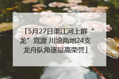 5月27日渠江河上群“龙”竞渡 川渝两地24支龙舟队角逐最高荣誉