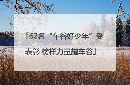 62名“车谷好少年”受表彰 榜样力量耀车谷