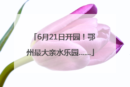 6月21日开园！鄂州最大亲水乐园……