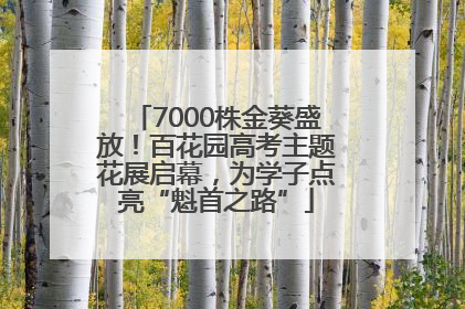 7000株金葵盛放！百花园高考主题花展启幕，为学子点亮“魁首之路”