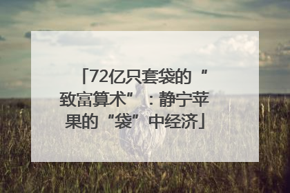 72亿只套袋的“致富算术”：静宁苹果的“袋”中经济