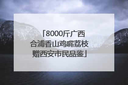 8000斤广西合浦香山鸡嘴荔枝赠西安市民品鉴