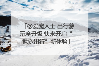 @爱宠人士 出行游玩全升级 快来开启“携宠出行”新体验