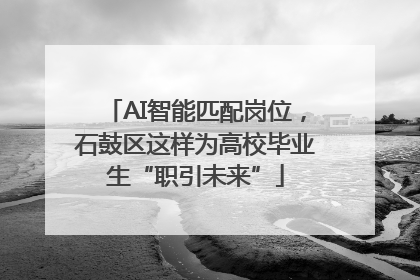 AI智能匹配岗位，石鼓区这样为高校毕业生“职引未来”
