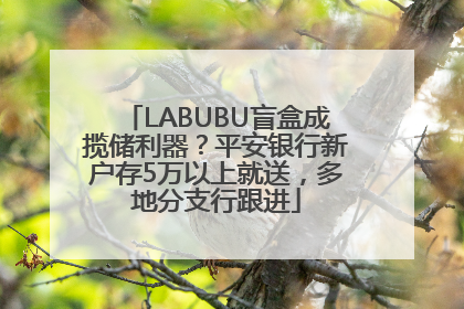 LABUBU盲盒成揽储利器？平安银行新户存5万以上就送，多地分支行跟进