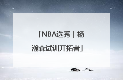 NBA选秀｜杨瀚森试训开拓者