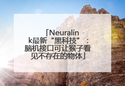 Neuralink最新“黑科技”：脑机接口可让猴子看见不存在的物体
